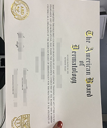 Whose Fake American Board of Dermatology CertificateIs Is The Best Quality?