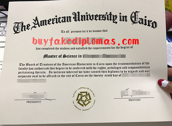 American University in Cairo Degree, Buy Fake American University in Cairo Degree