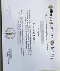 How Much Does A Fake California Institute of Technology Diploma Cost?