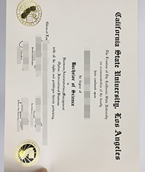 Take Fake California State University Los Angeles Degree
