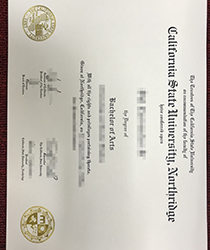 California State University Northridge Degree