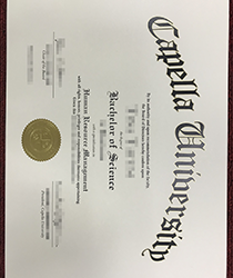 Purchase Fake Capella University Degree