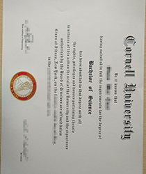 Buy Fake Cornell University Degree