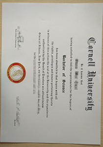 Cornell University Degree, Buy Fake Cornell University Degree