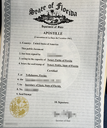 Get Fake State of Florida Document
