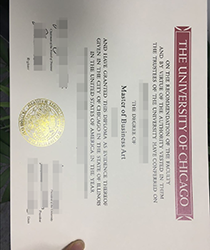 When Do People Have to Buy Fake University of Chicago Degree?