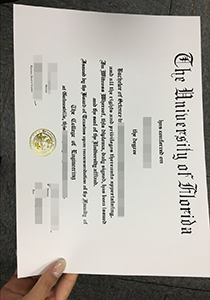 The University of Florida Degree, Buy Fake The University of Florida Degree
