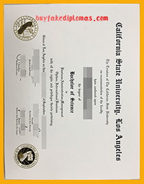 California State University, Los Angeles Diploma