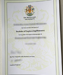 Outstanding Research Institution at The University of Dermontford