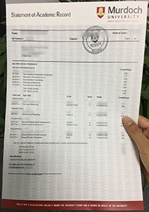 Murdoch University Transcript, Buy Fake Murdoch University Transcript