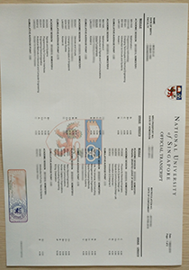 National University of Singapore Transcript, Buy Fake National University of Singapore Transcript
