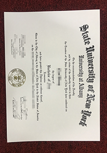 State University of New York, Albany Diploma, Buy Fake State University of New York, Albany Diploma