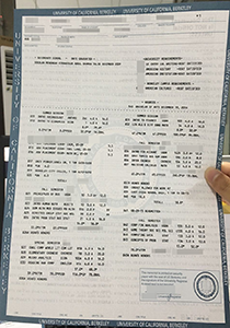 University of California-Berkeley Transcript, Buy Fake University of California-Berkeley Transcript