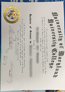 niversity College Diploma