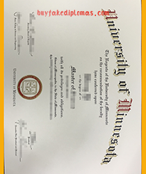 University of Minnesota Certificate Introduction
