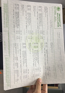 University of South Florida Transcript, Buy Fake University of South Florida Transcript