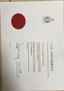 York University Diploma, Buy Fake York University Diploma