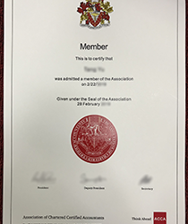 about the certificate paper
