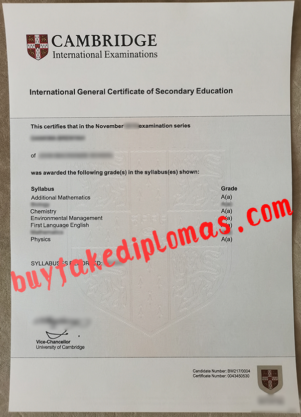 Cambridge International Examinations Certificate, Buy Fake Cambridge International Examinations Certificate