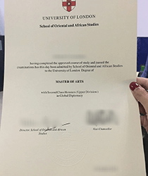 “The world’s pre-eminent Centre for Asian and African Studies”