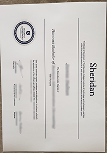 Sheridan Board of Governors Diploma, Buy Fake
