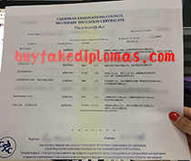 Fake Caribbean Examinations Council Secondary Education Certificate
