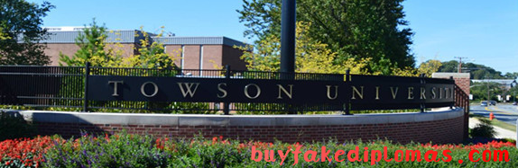 Towson University degree