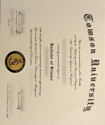 Towson University Degree