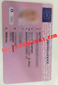 UK Driving Licence, buy fake UK Driving Licence