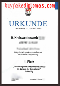 Landkreis Teltow-Fläming Urkunde, Buy Fake Landkreis Teltow-Fläming Urkunde