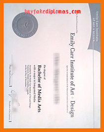 Emily Carr University of Art and Design Degree, Buy Fake Emily Carr University of Art and Design Degree