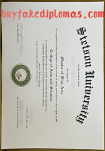 Fake Stetson University Degree