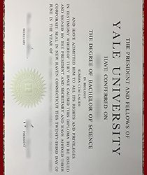 Yale University Degree