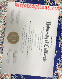 Fake UC Berkeley Degree