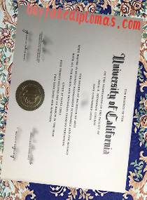 Fake UC Santa Cruz Degree