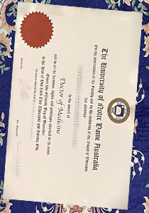 Fake University of Notre Dame Australia Degree