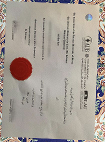 Fake American University In Cairo Diploma