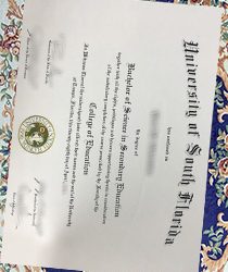 University of South Florida Degree- The key to your success