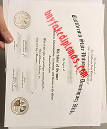 Fake California State University Dominguez Hills Degree