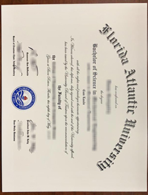 Florida Atlantic University fake diploma