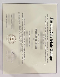 Farmingdale State College fake degree