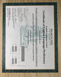 Michigan State University English Language Center fake certificate
