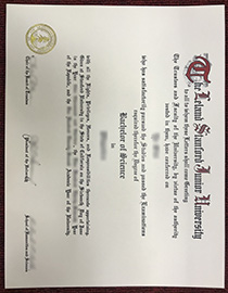 Stanford University fake diploma
