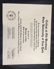 State University of New York College at Old Westbury fake degree