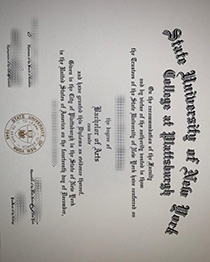 State University of New York College at Plattsburgh fake diploma