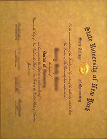 State University of New York College of Optometry fake diploma