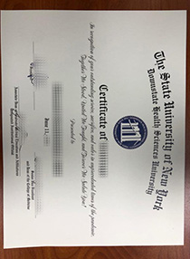 State University of New York Downstate Health Sciences University fake certificate