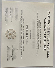State University of New York Purchase College fake degree