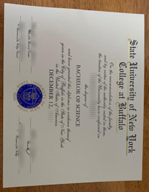 State University of New York at Buffalo fake degree