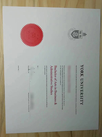 York University fake diploma